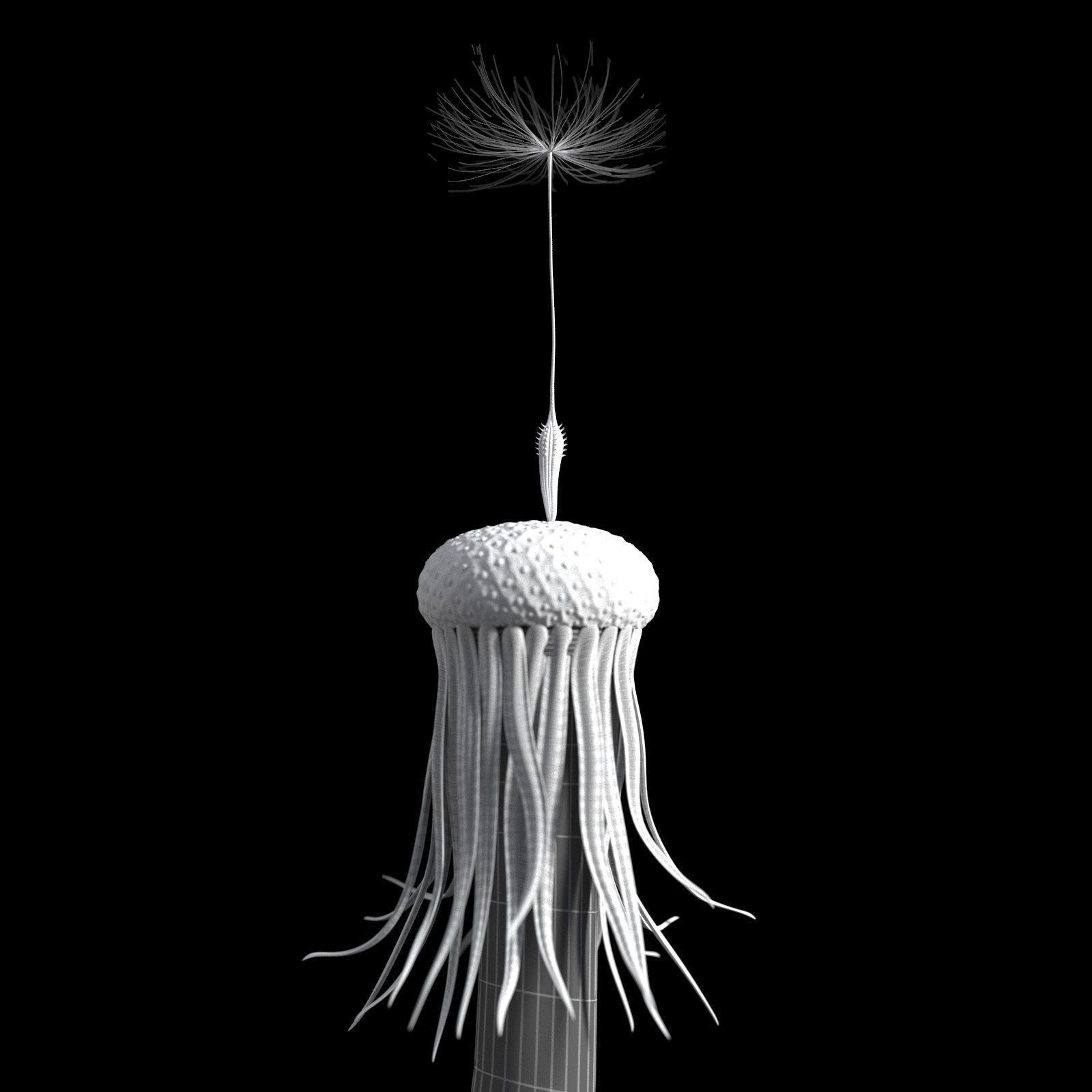 Dandelion Photoreal 3D model_17