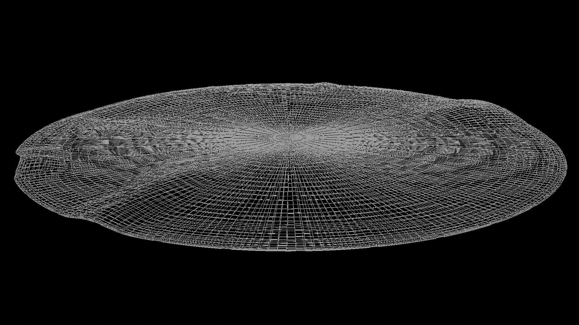 Circular Rug Low-poly 3D model_10