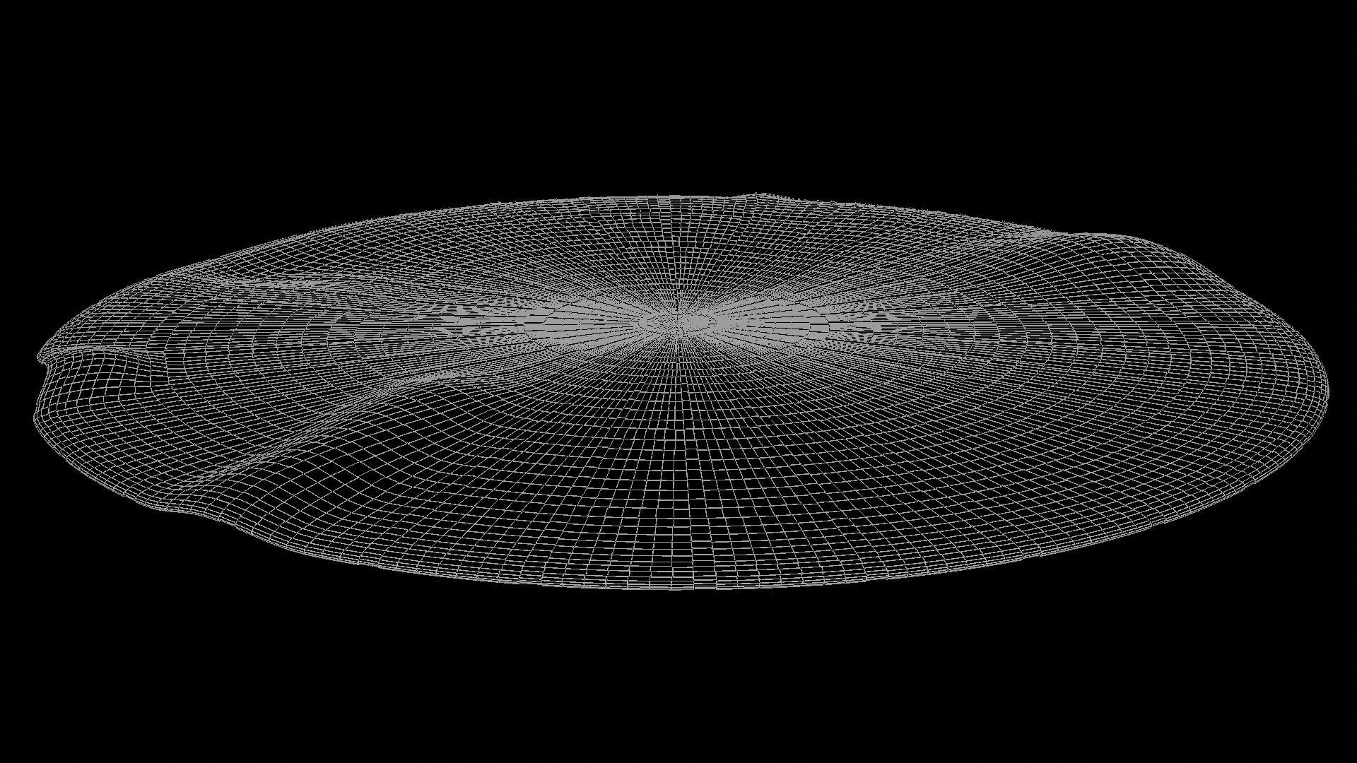 Circular Rug Low-poly 3D model_9