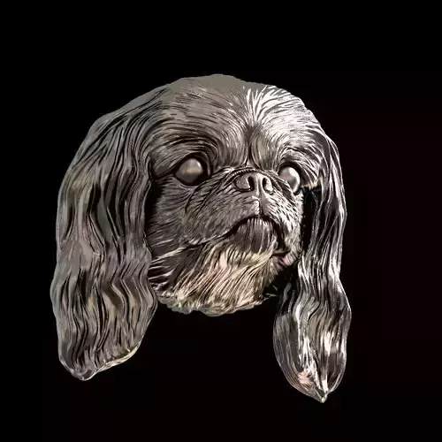 Dog Pekingese head 3D print model