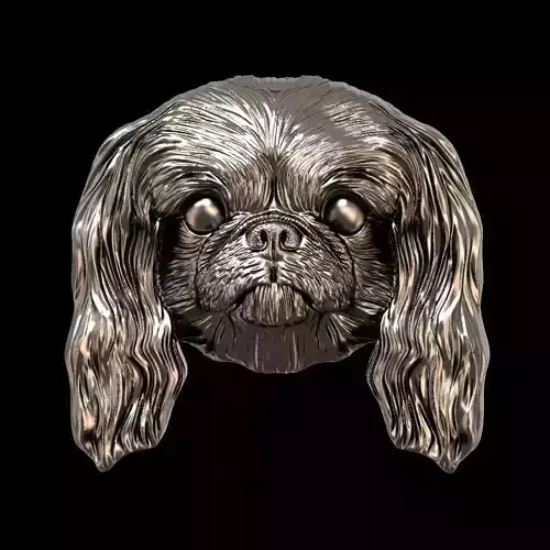 Dog Pekingese relief