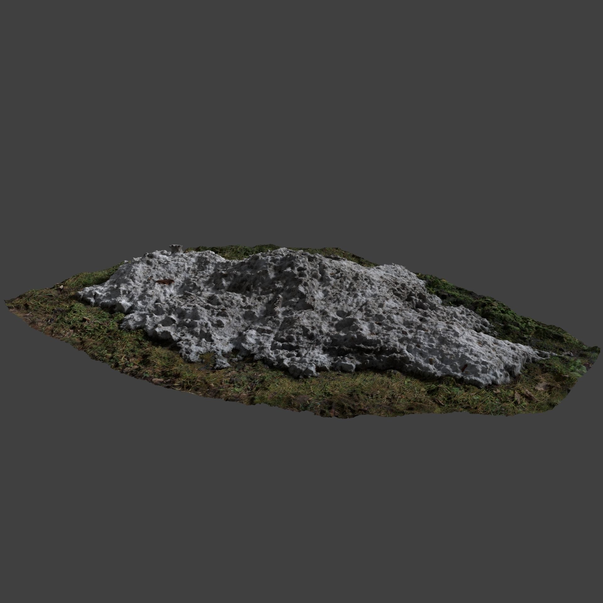 Snow In Field 2 Photoscan 3D model_2