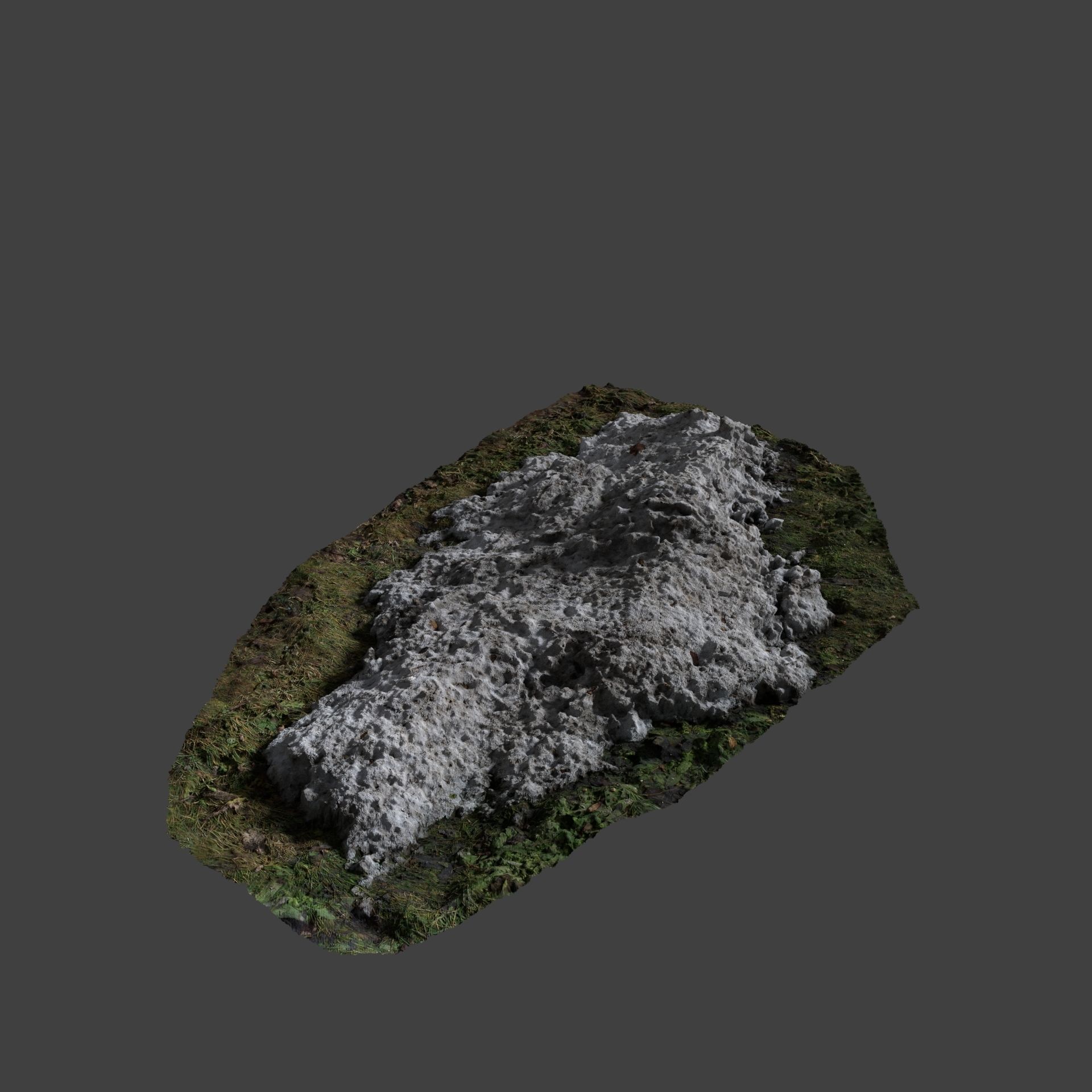 Snow In Field 2 Photoscan 3D model_1