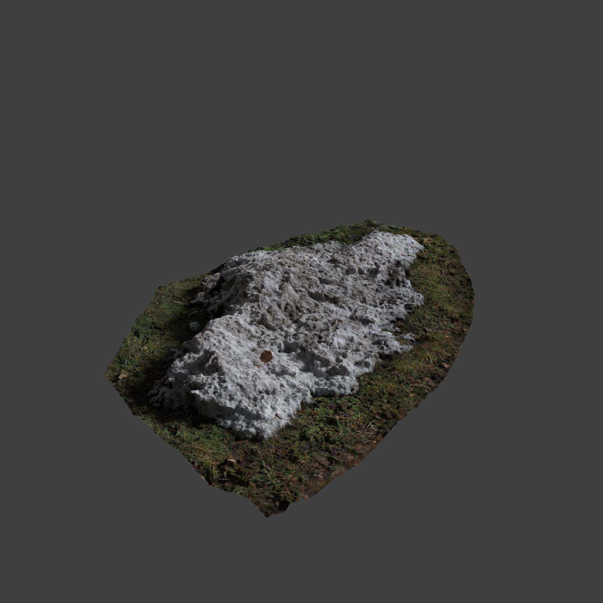 Snow In Field 2 Photoscan 3D model_3