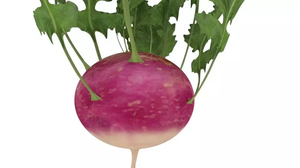 Kolarbi 3d low poly model ready to use Low-poly 3D model