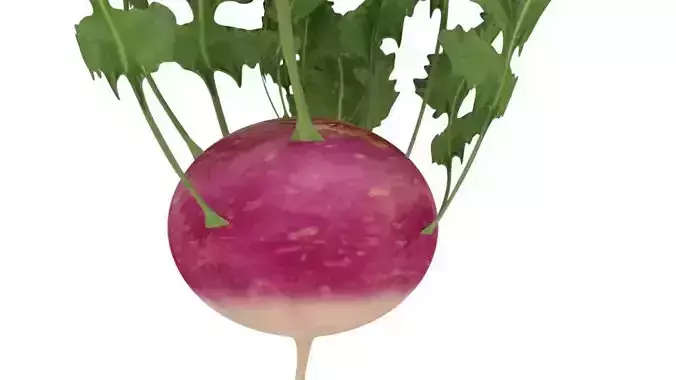 Kolarbi 3d low poly model ready to use