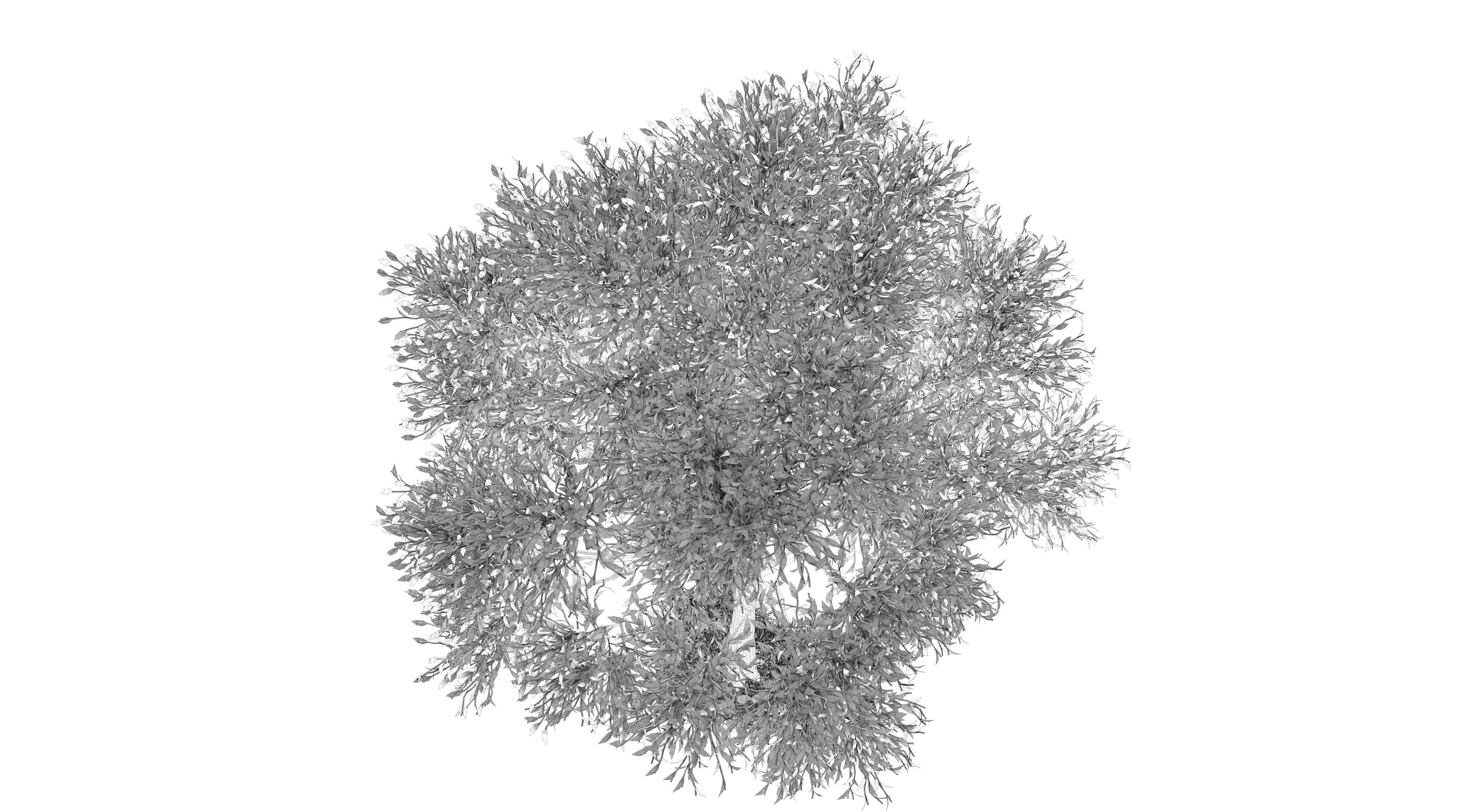 Apple Tree and Grass 2 3D model_11