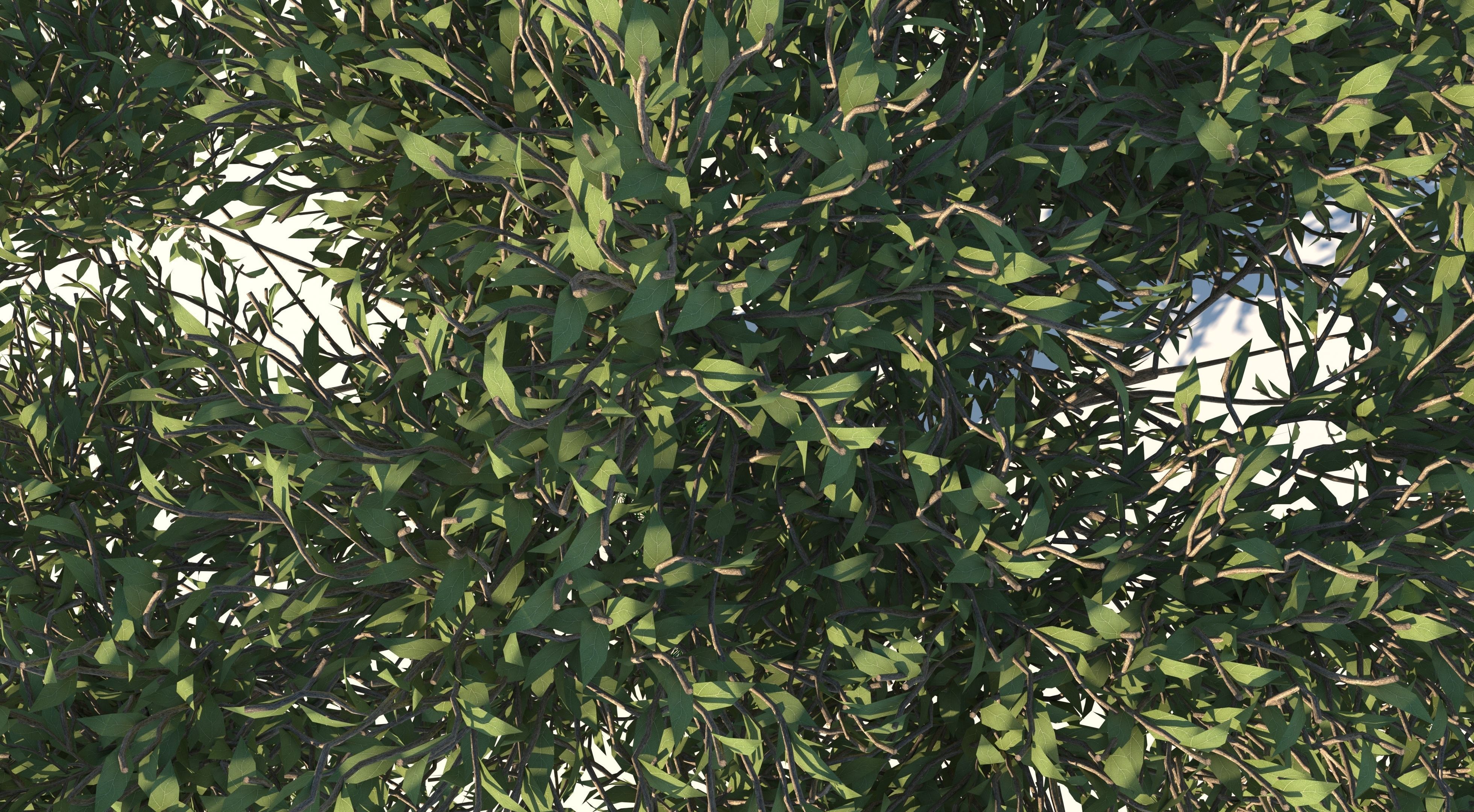 Apple Tree and Grass 2 3D model_7