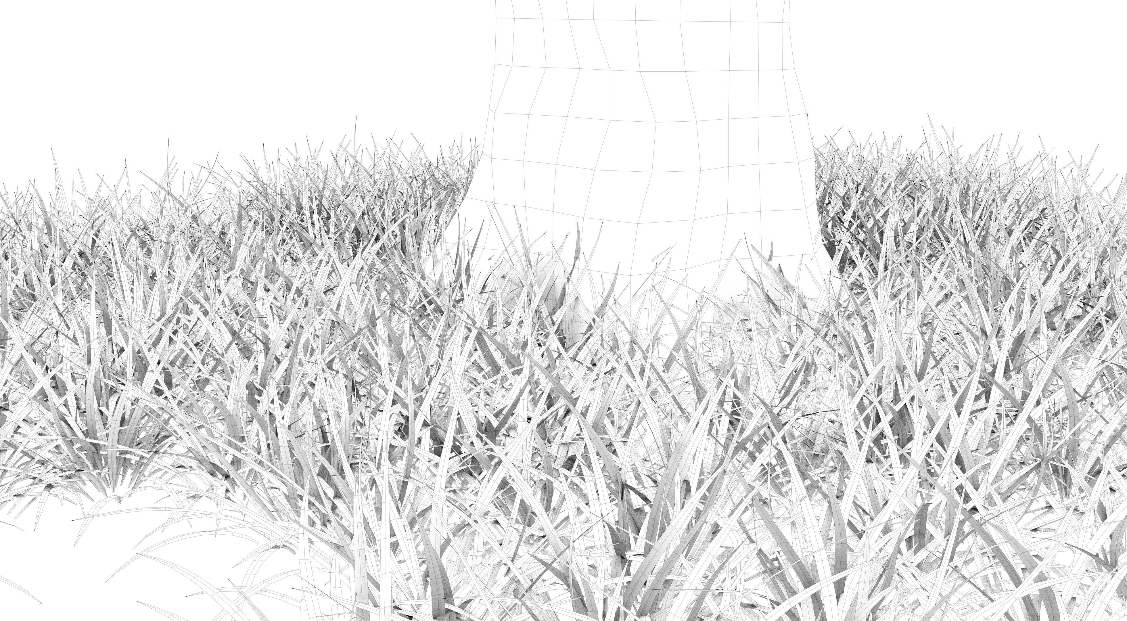 Apple Tree and Grass 2 3D model_12