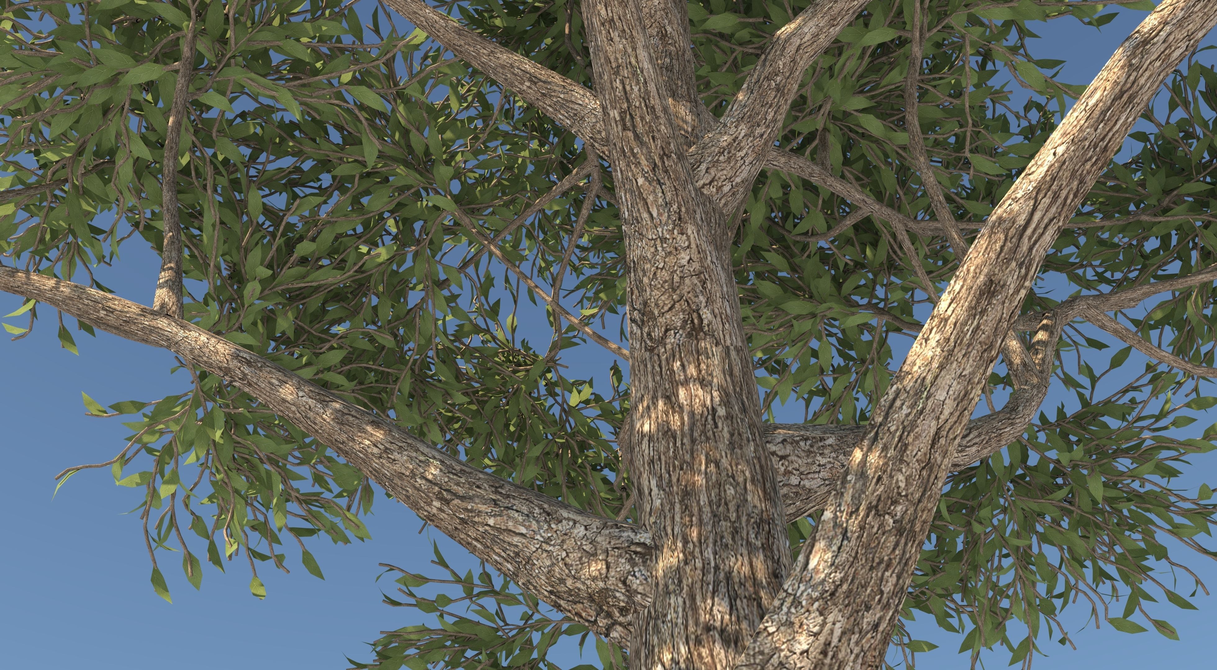 Apple Tree and Grass 2 3D model_5