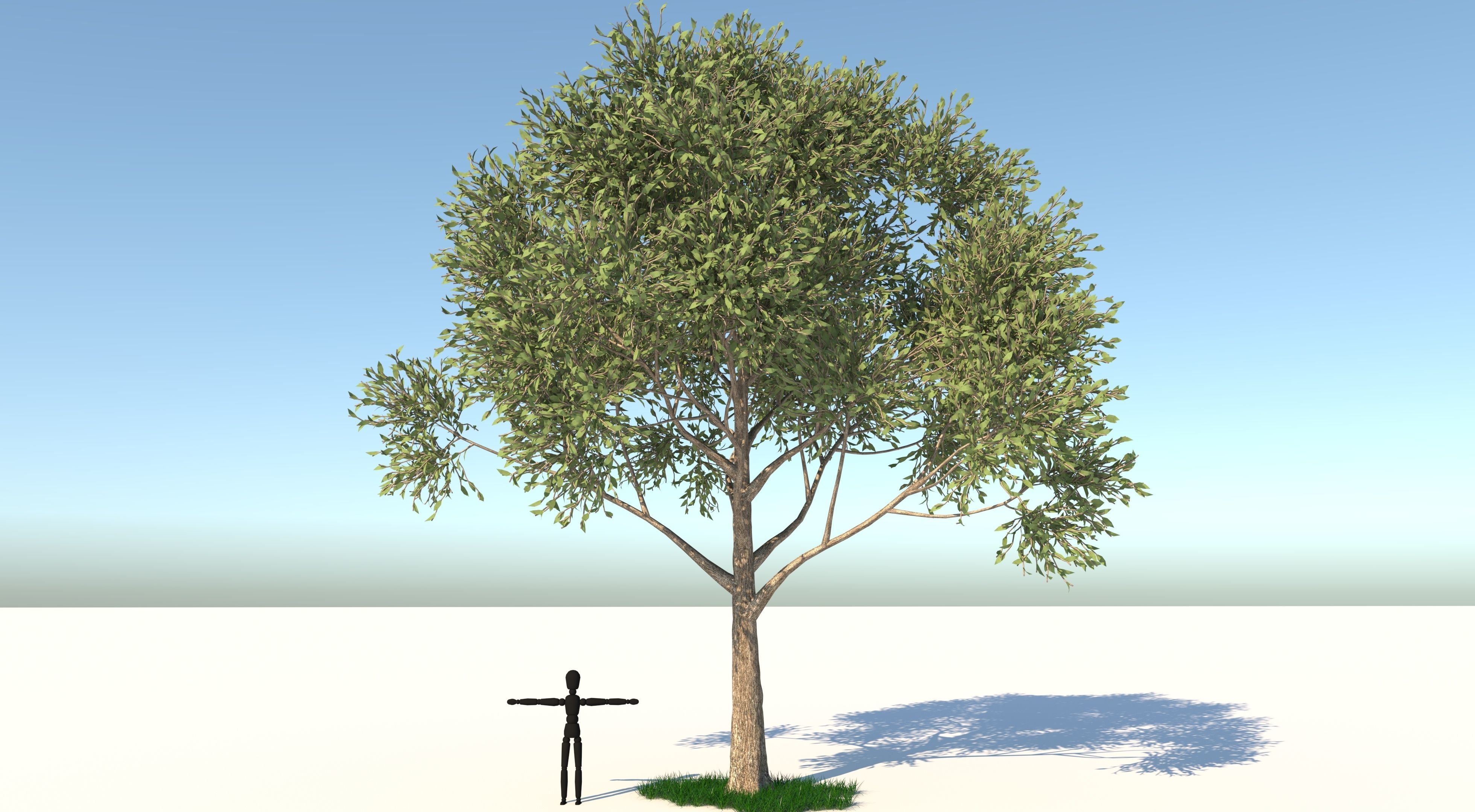 Apple Tree and Grass 2 3D model_4
