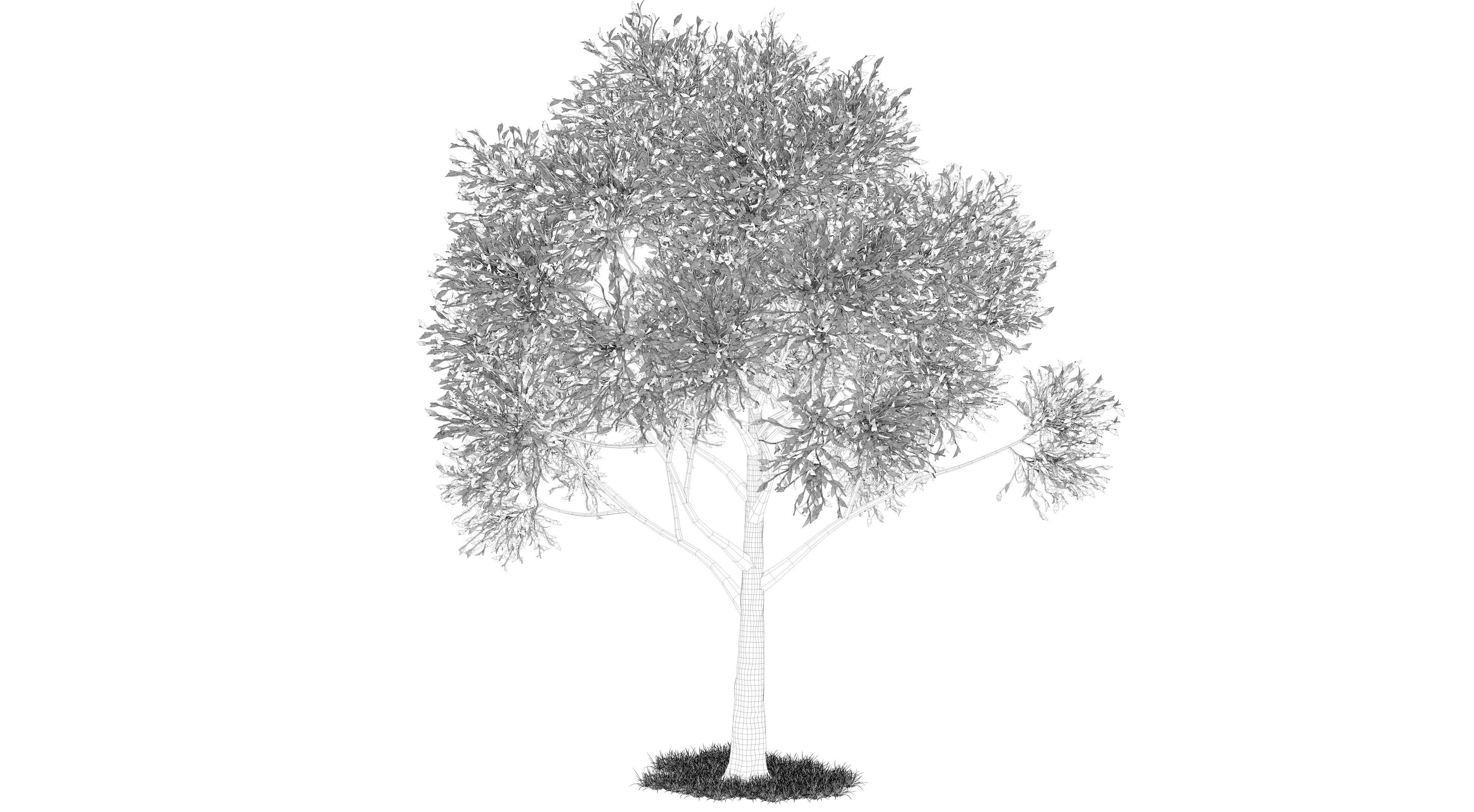 Apple Tree and Grass 2 3D model_9