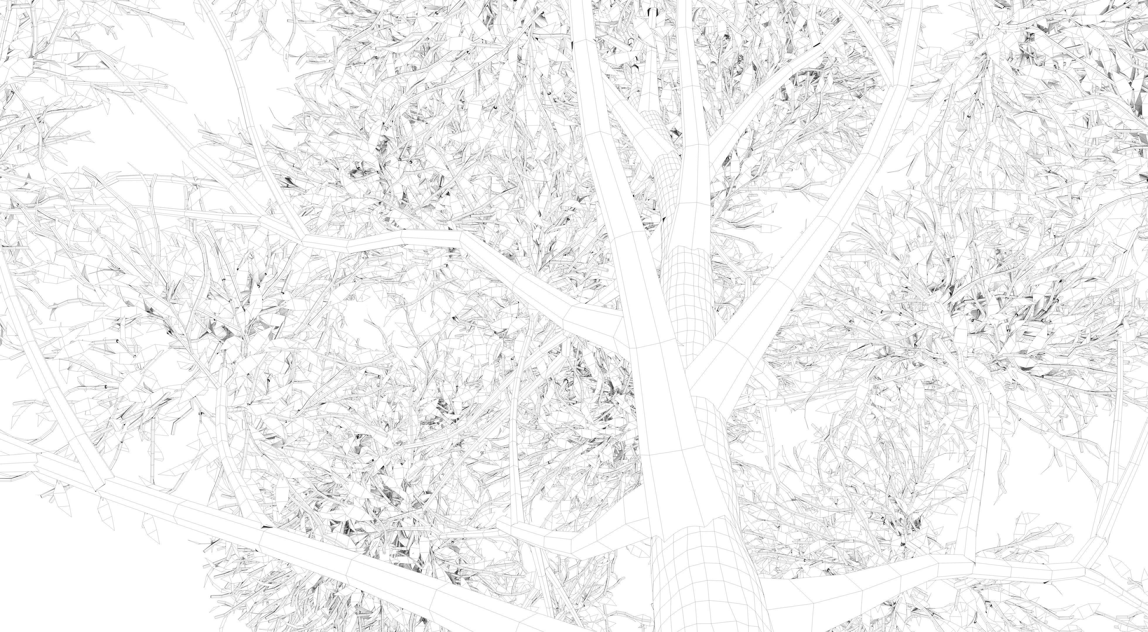 Apple Tree and Grass 2 3D model_13