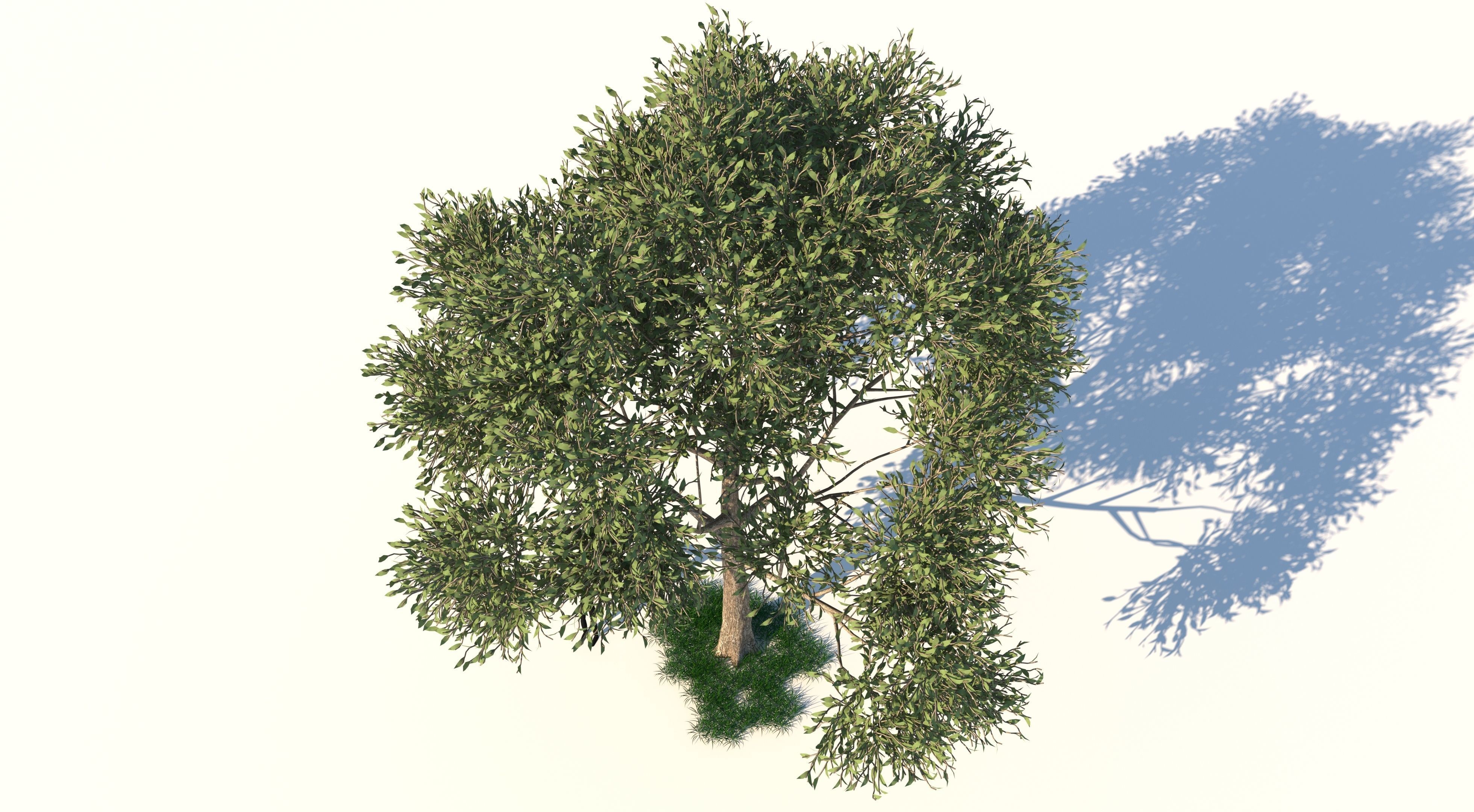 Apple Tree and Grass 2 3D model_2