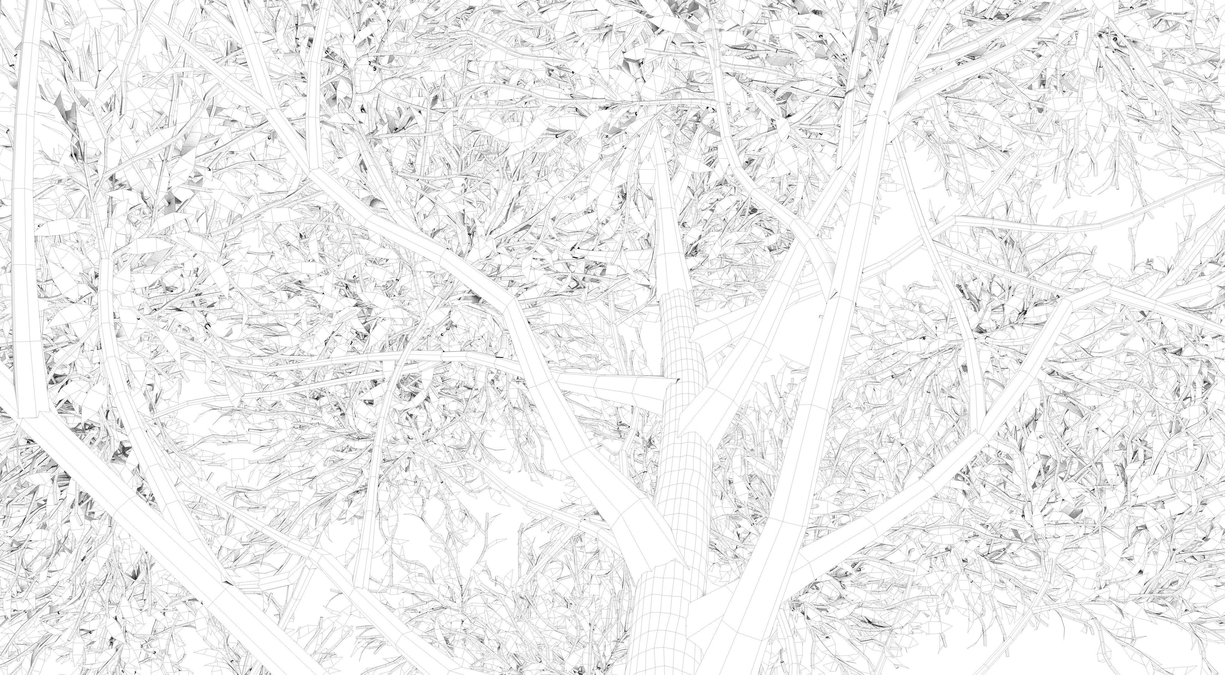 Apple Tree and Grass 2 3D model_14