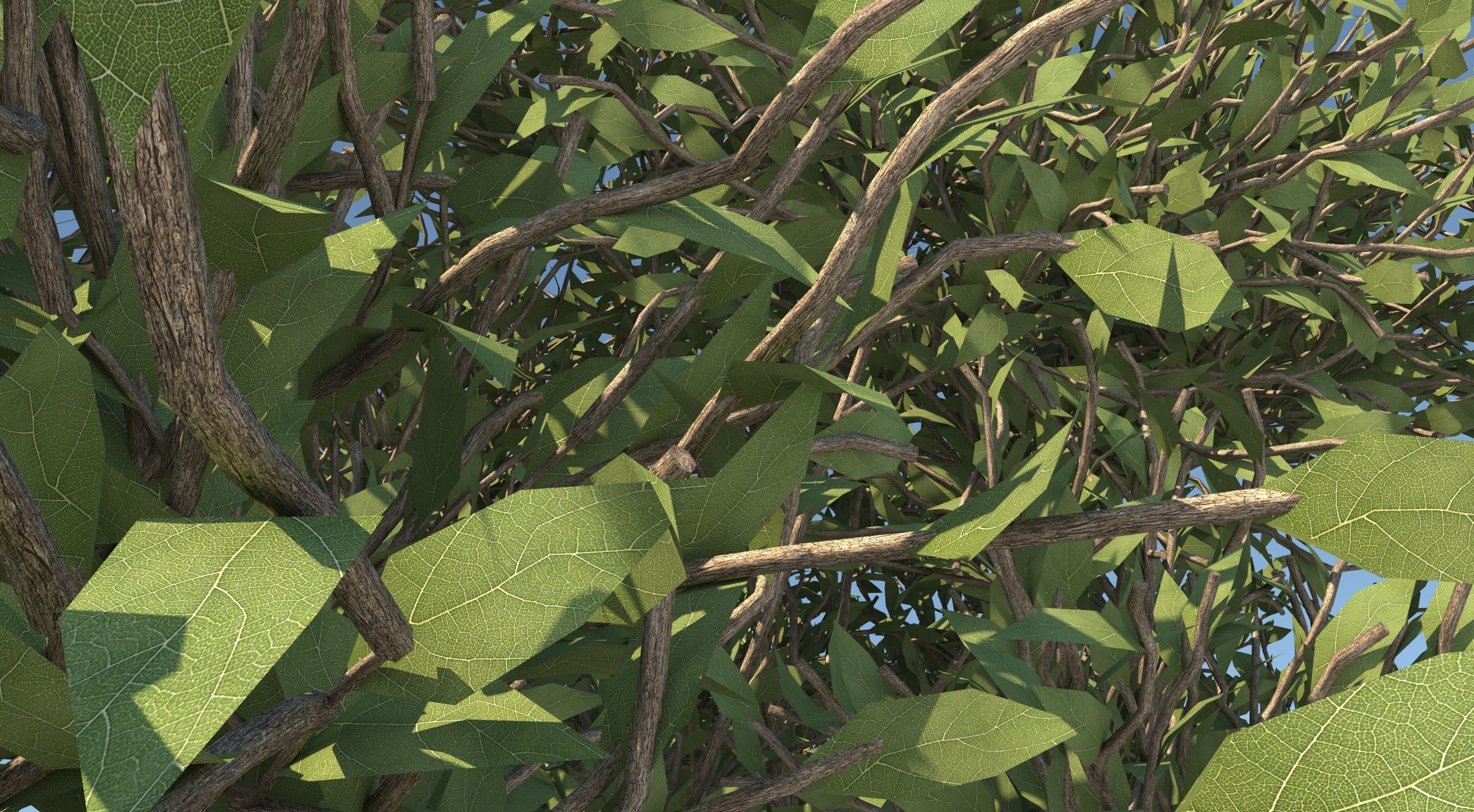 Apple Tree and Grass 2 3D model_8