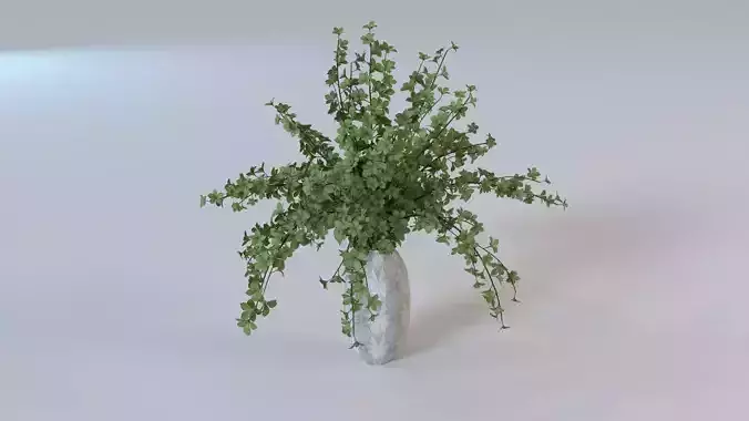 Light Green Leafy Branches in Frosted Glass Vase