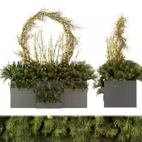 Collection plant vol 51