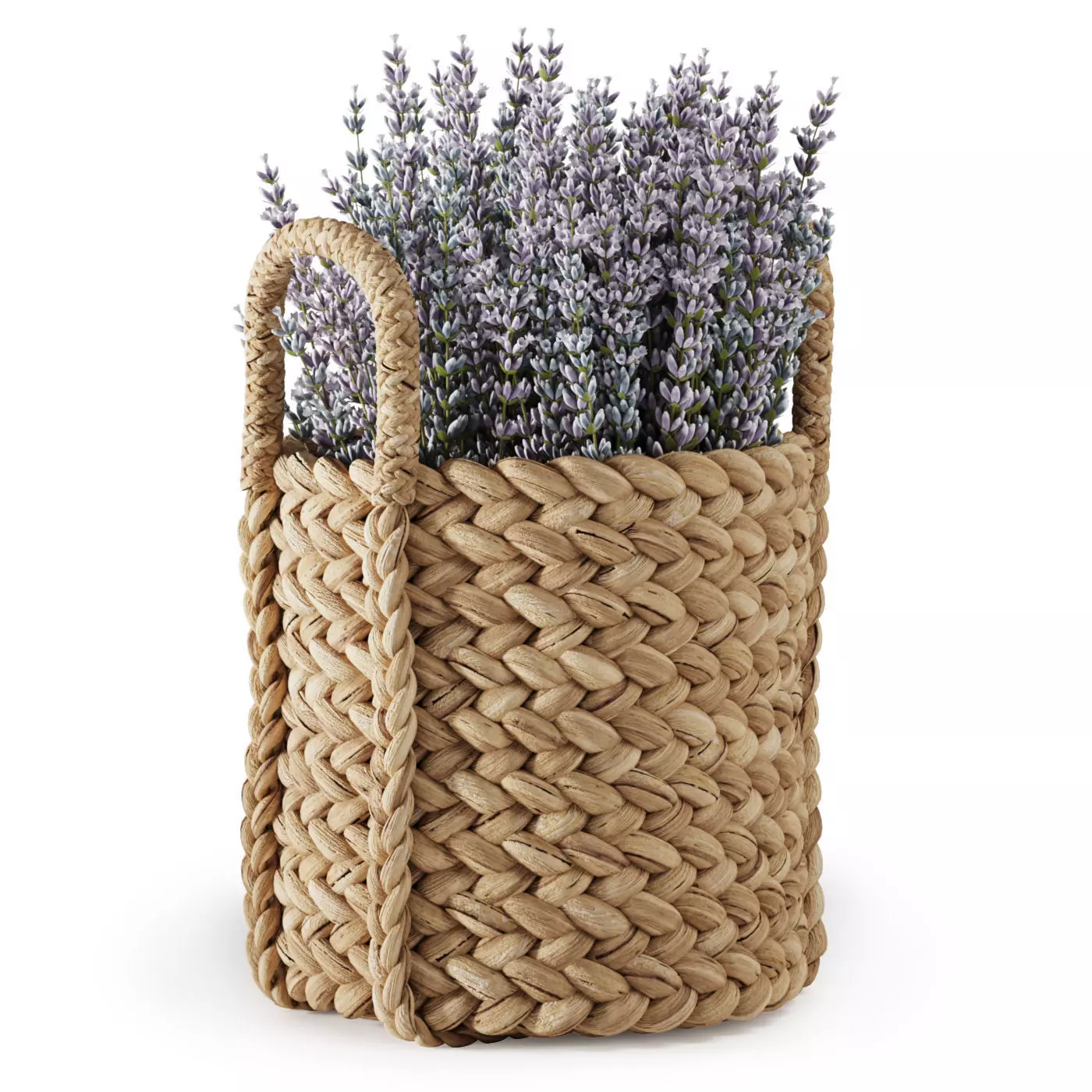 Baskets Big Collection 01 _15