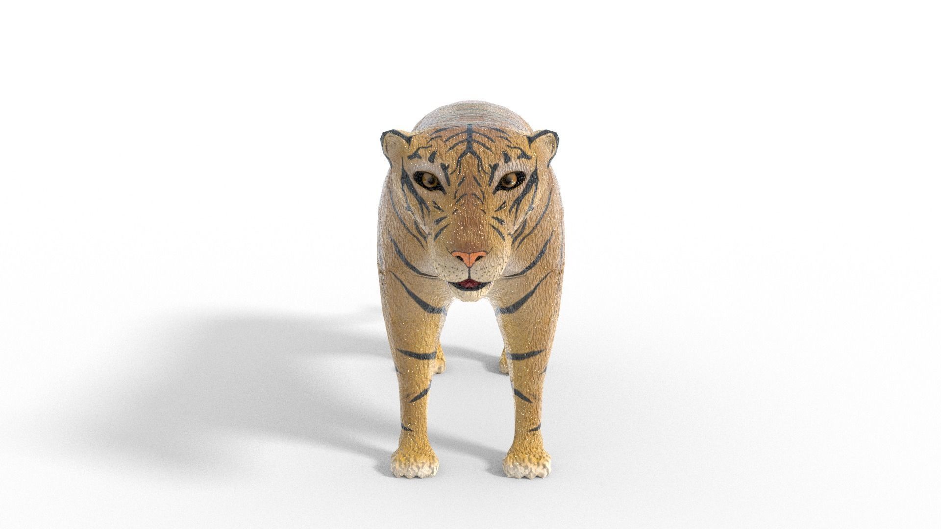3D Tiger Model toy Low-poly 3D model_6