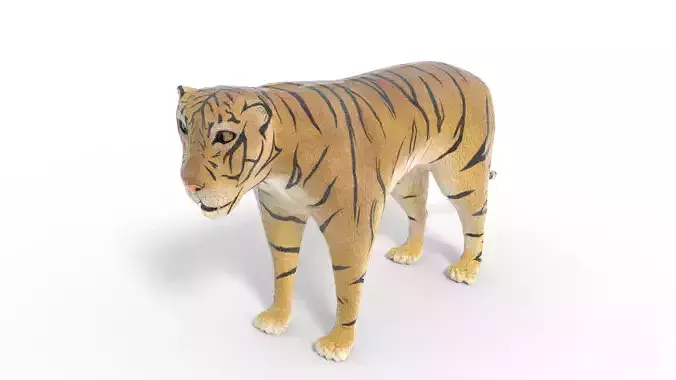 3D Tiger Model toy