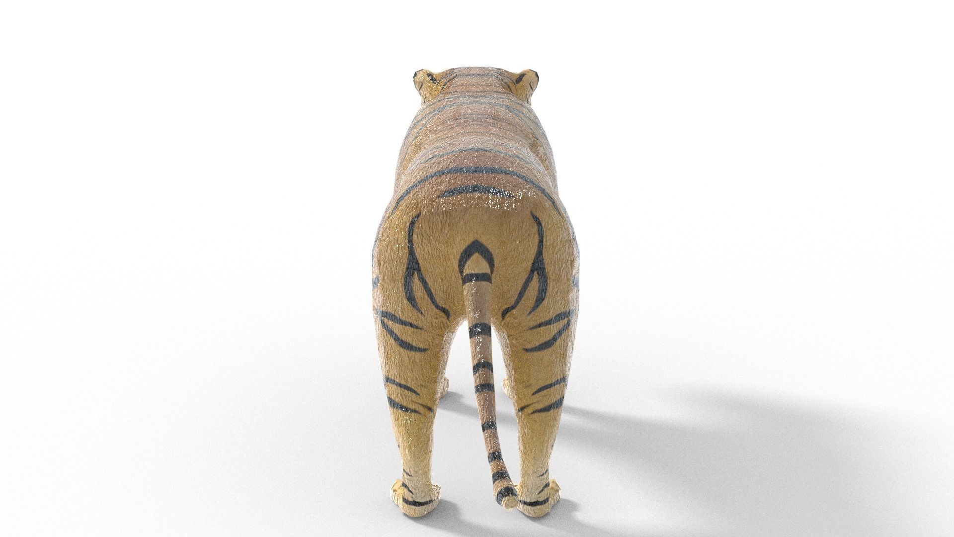 3D Tiger Model toy Low-poly 3D model_7