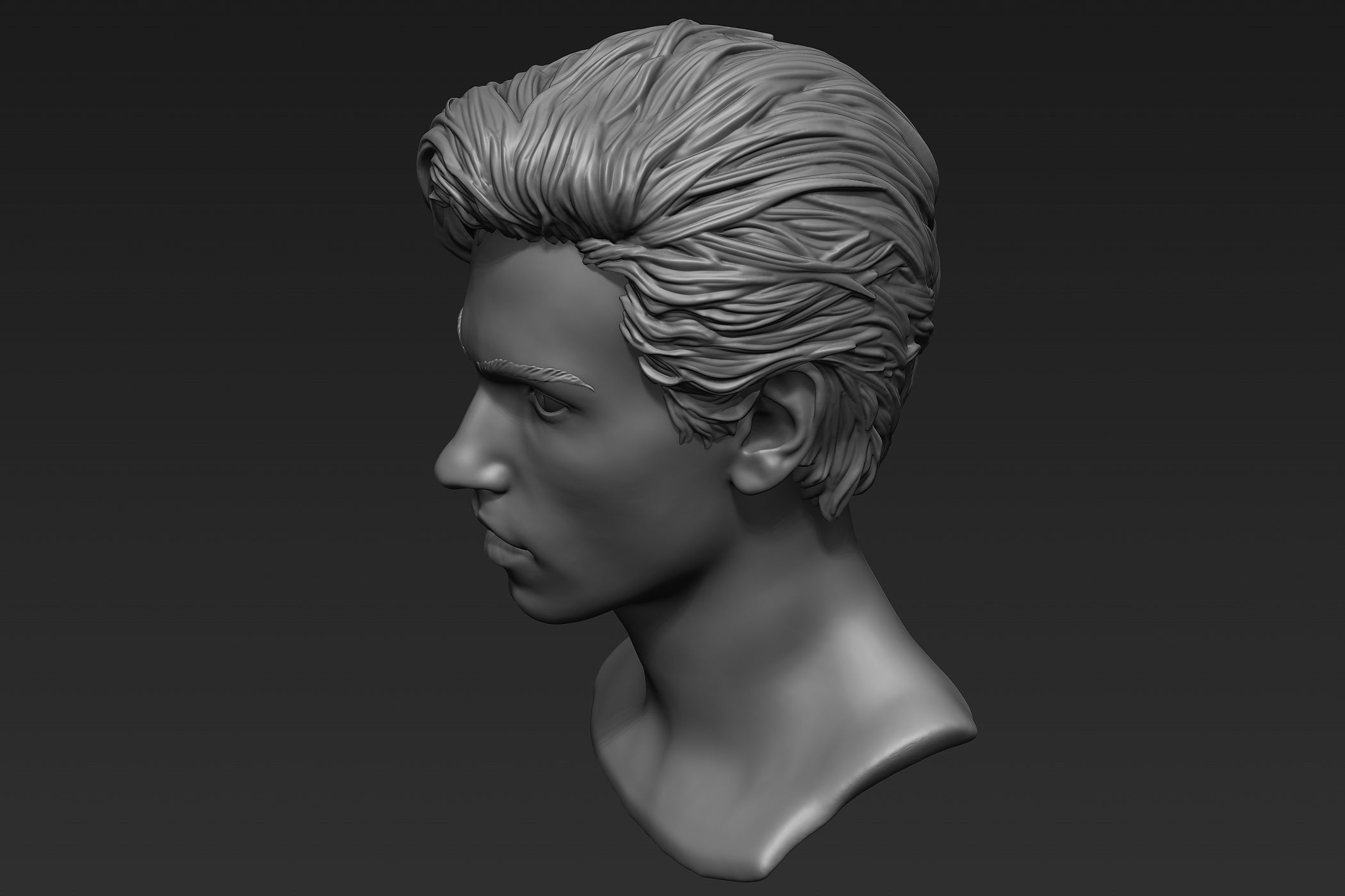 Male Head with Hair Sculpt 3D model_16