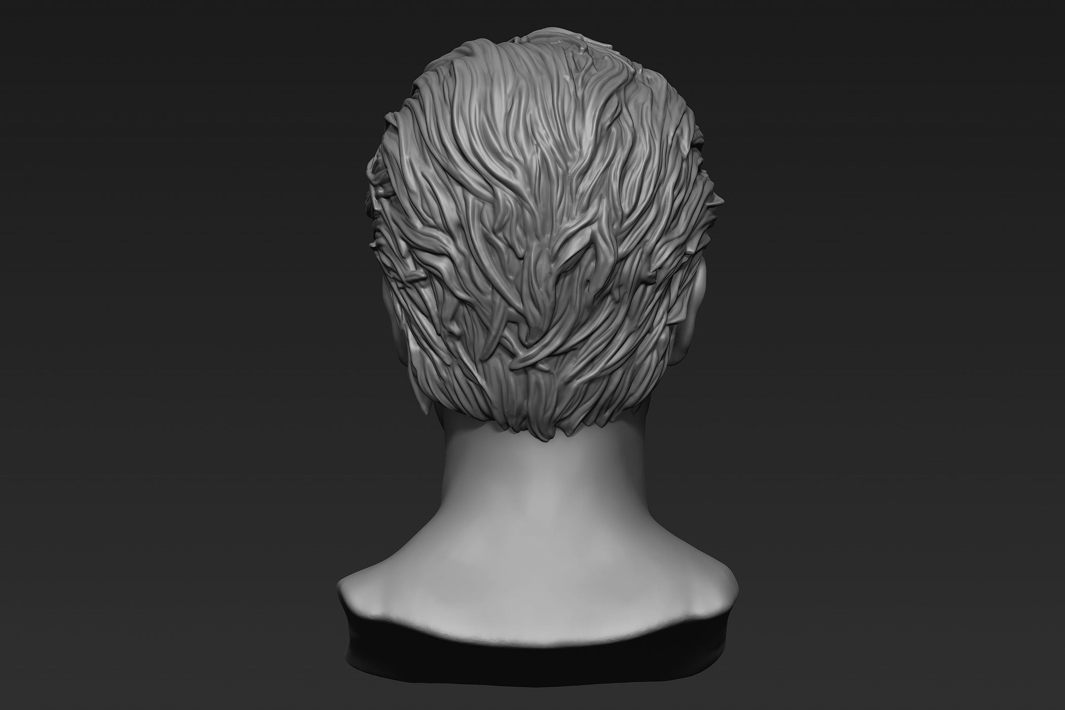 Male Head with Hair Sculpt 3D model_18