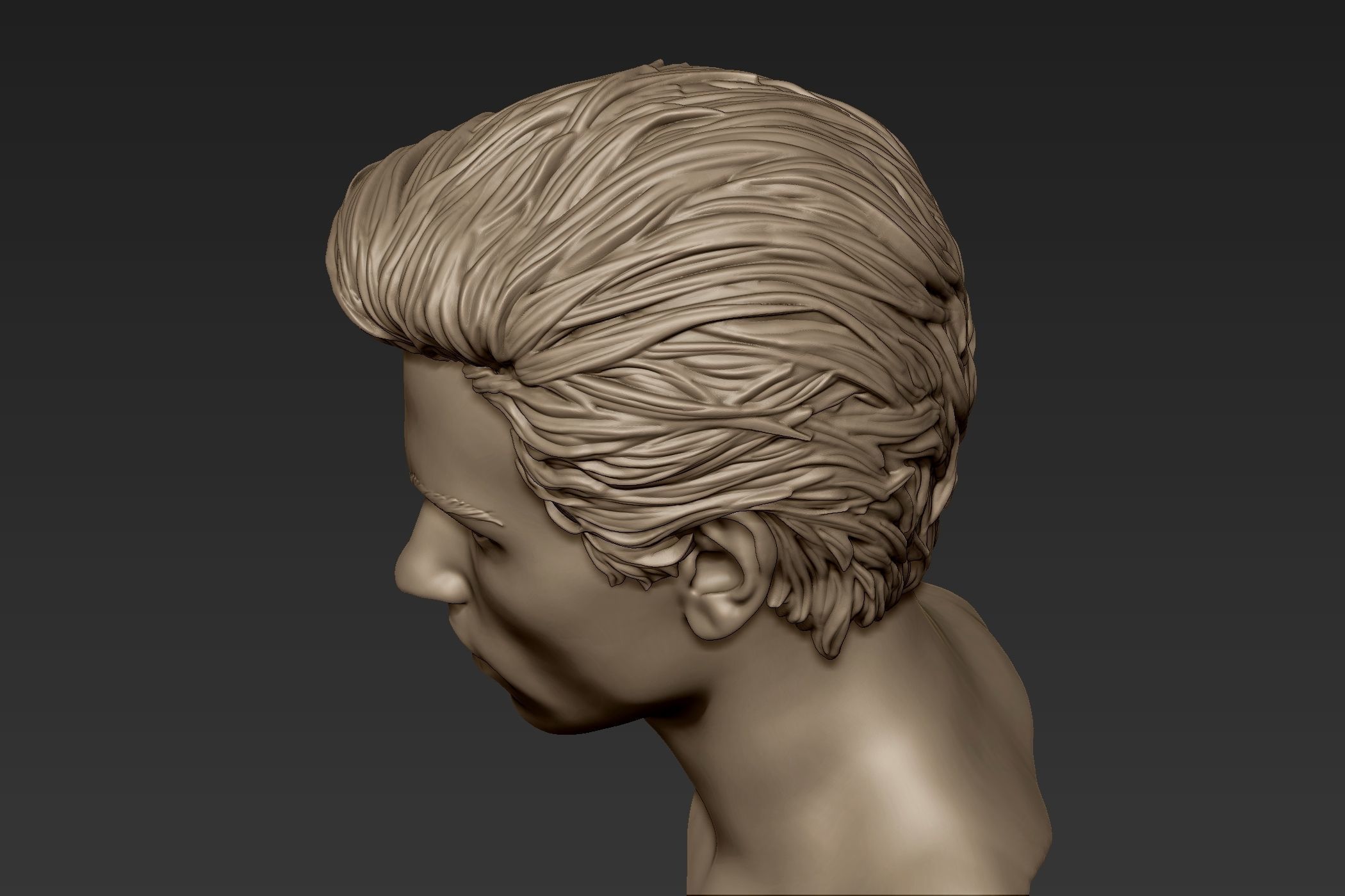 Male Head with Hair Sculpt 3D model_6