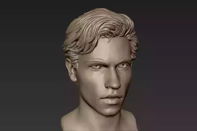 Male Head with Hair Sculpt 3D model