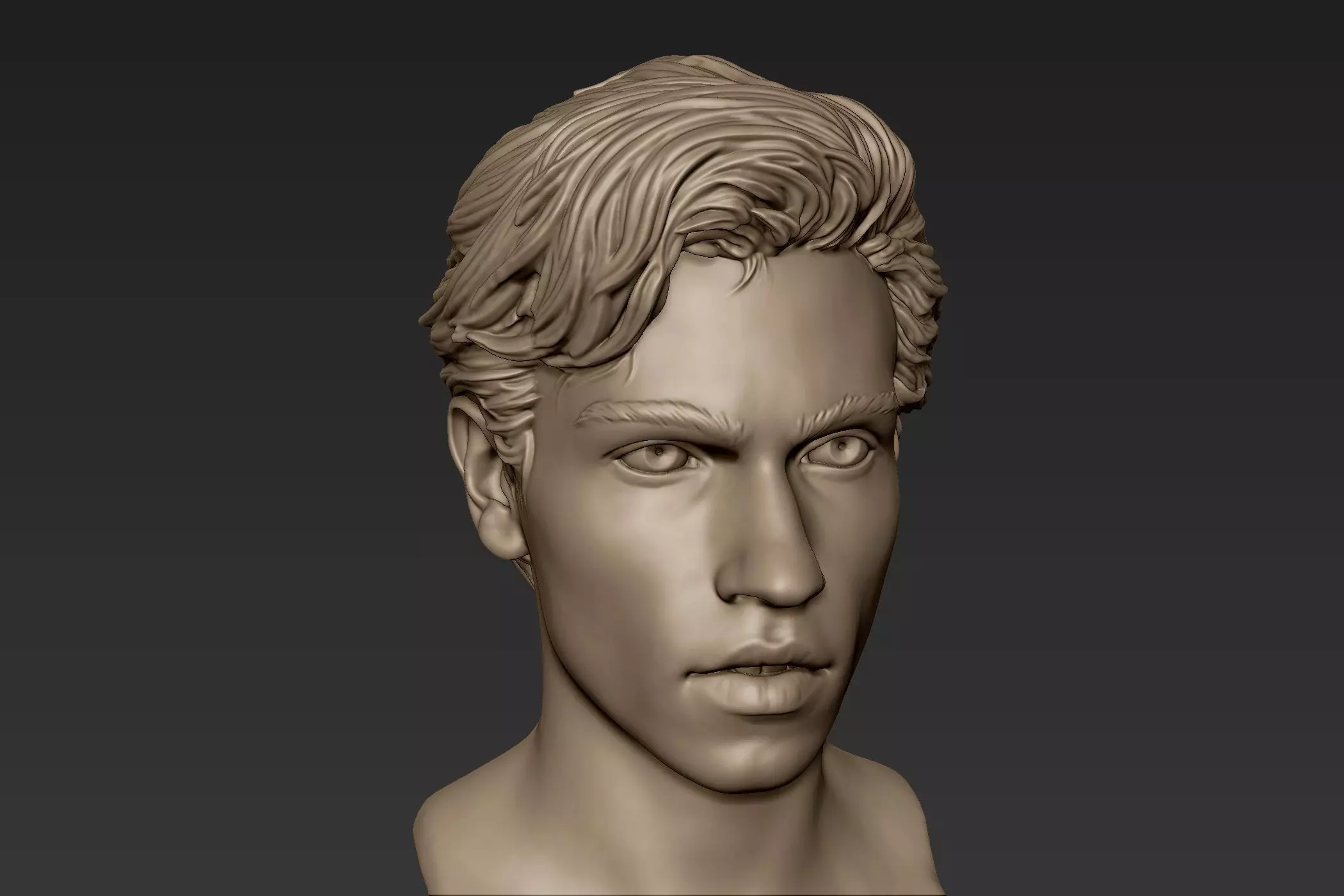 Male Head with Hair Sculpt 3D model_0