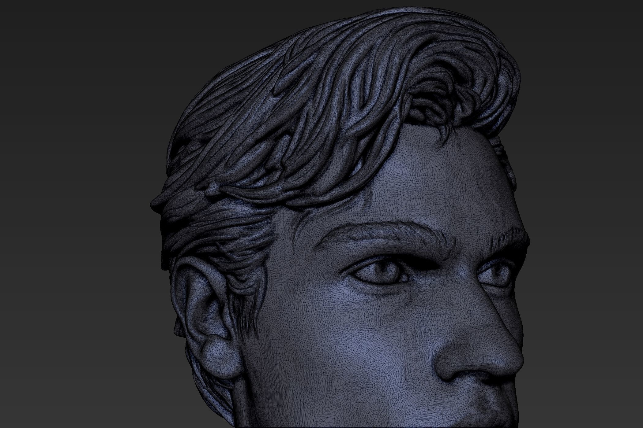 Male Head with Hair Sculpt 3D model_11
