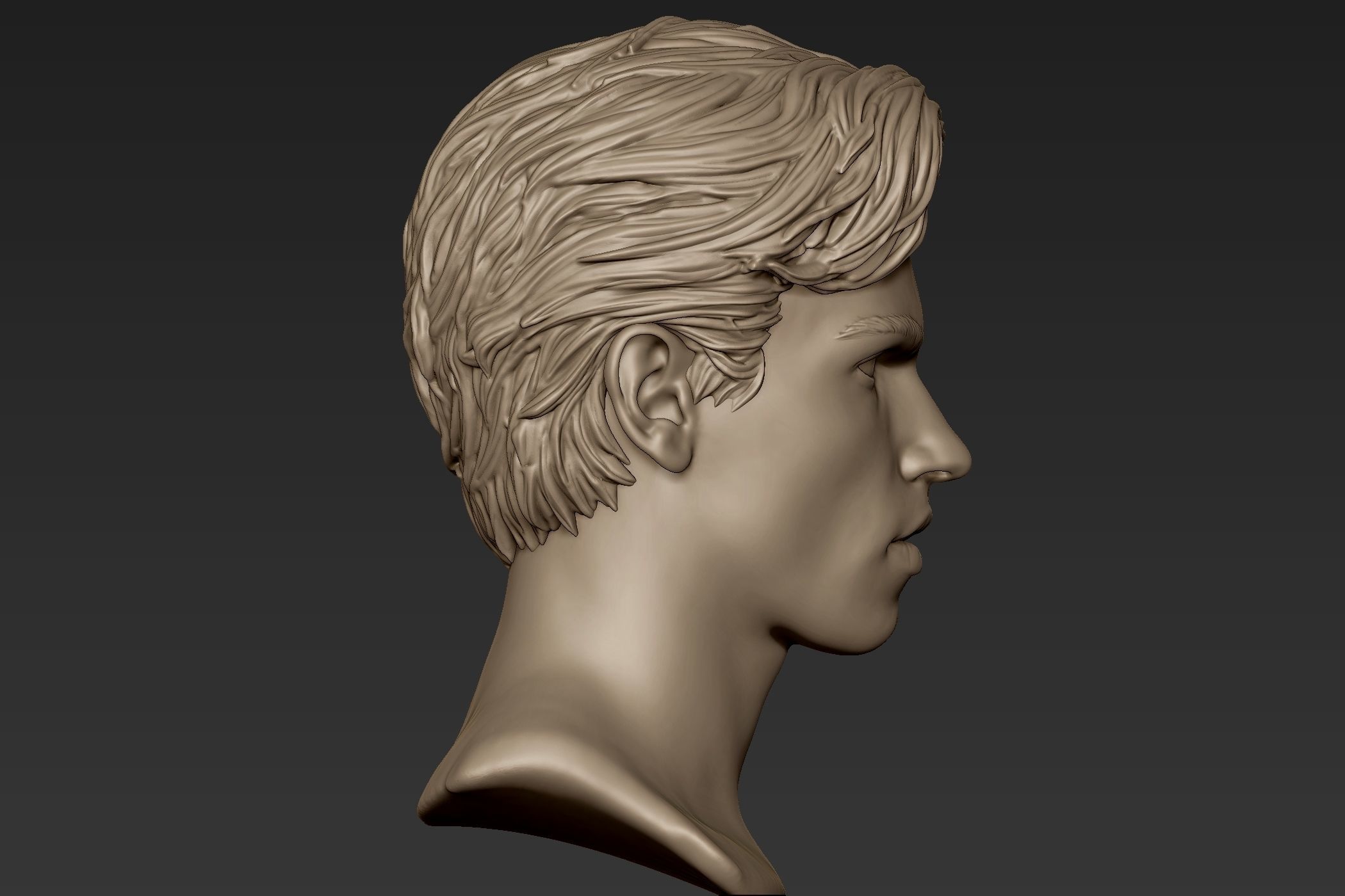 Male Head with Hair Sculpt 3D model_8