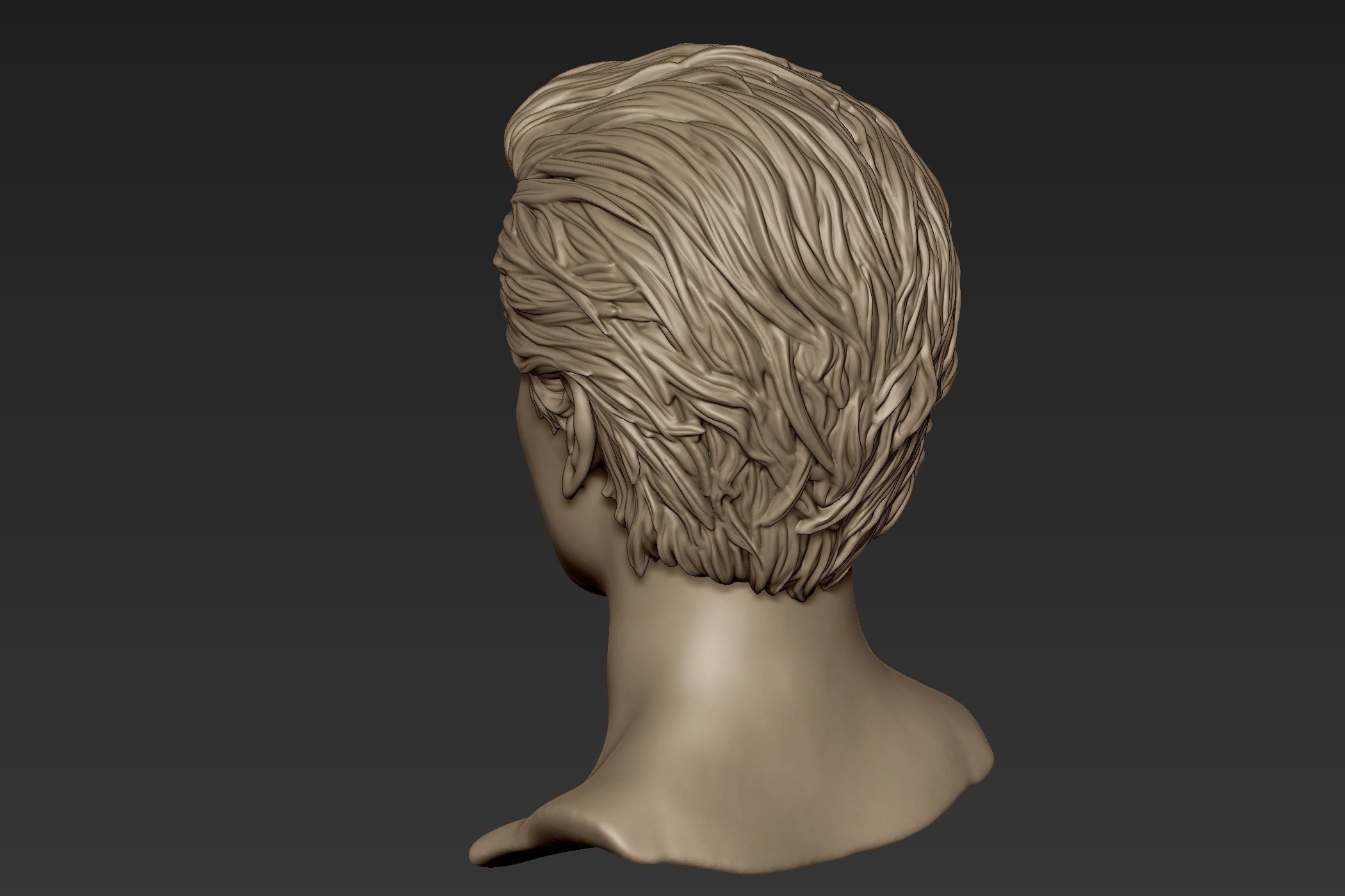 Male Head with Hair Sculpt 3D model_7