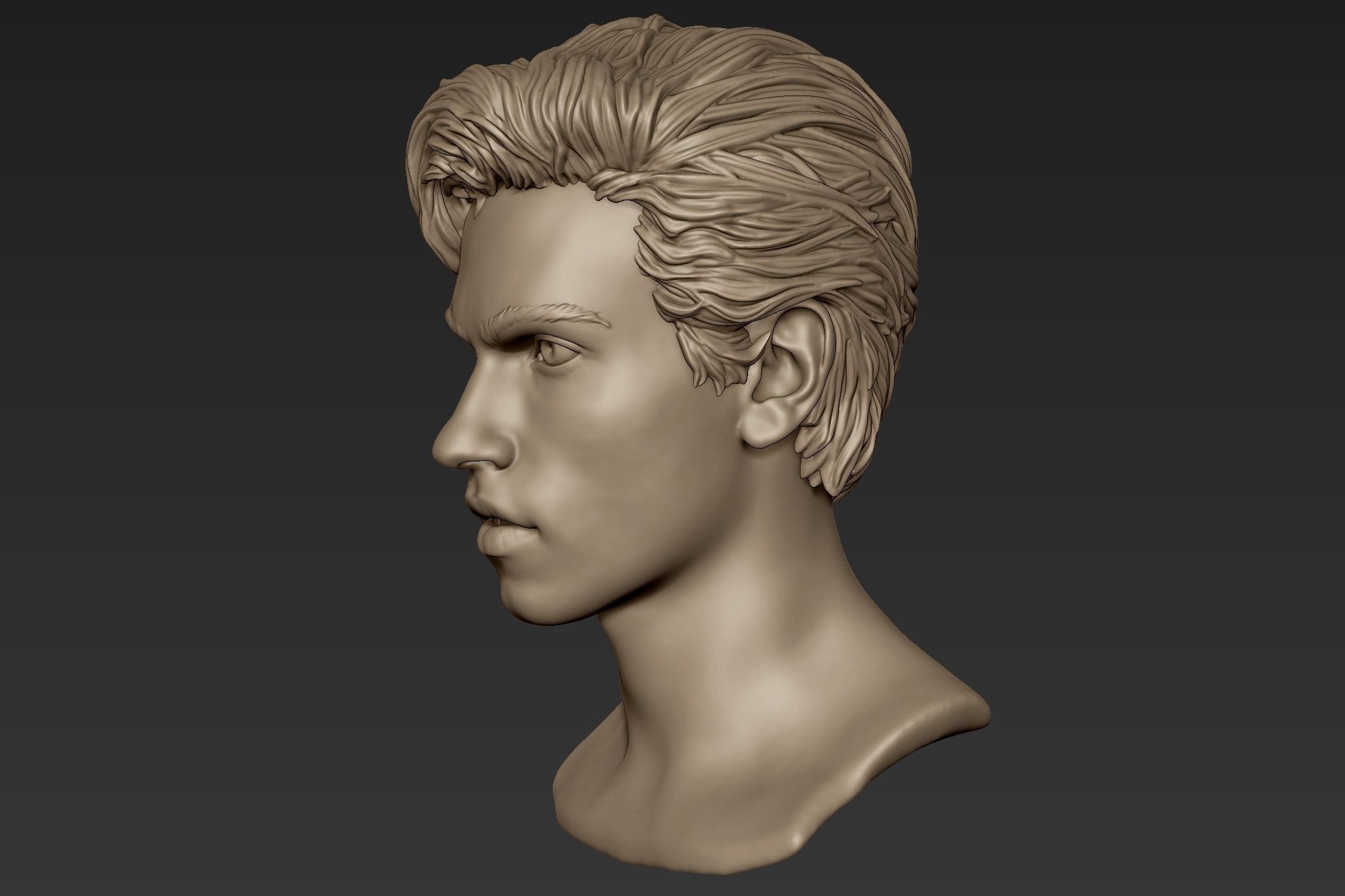 Male Head with Hair Sculpt 3D model_5