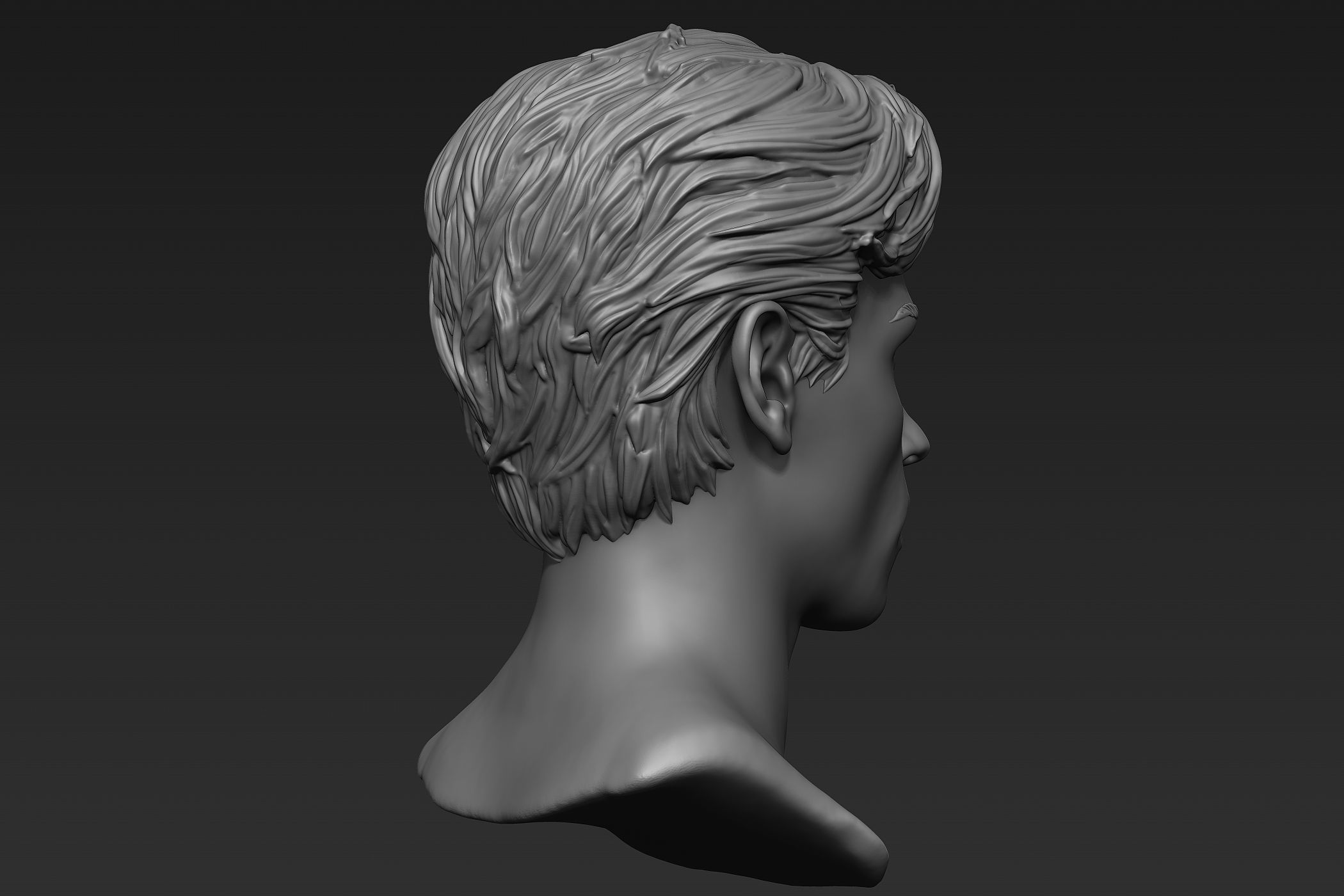Male Head with Hair Sculpt 3D model_19