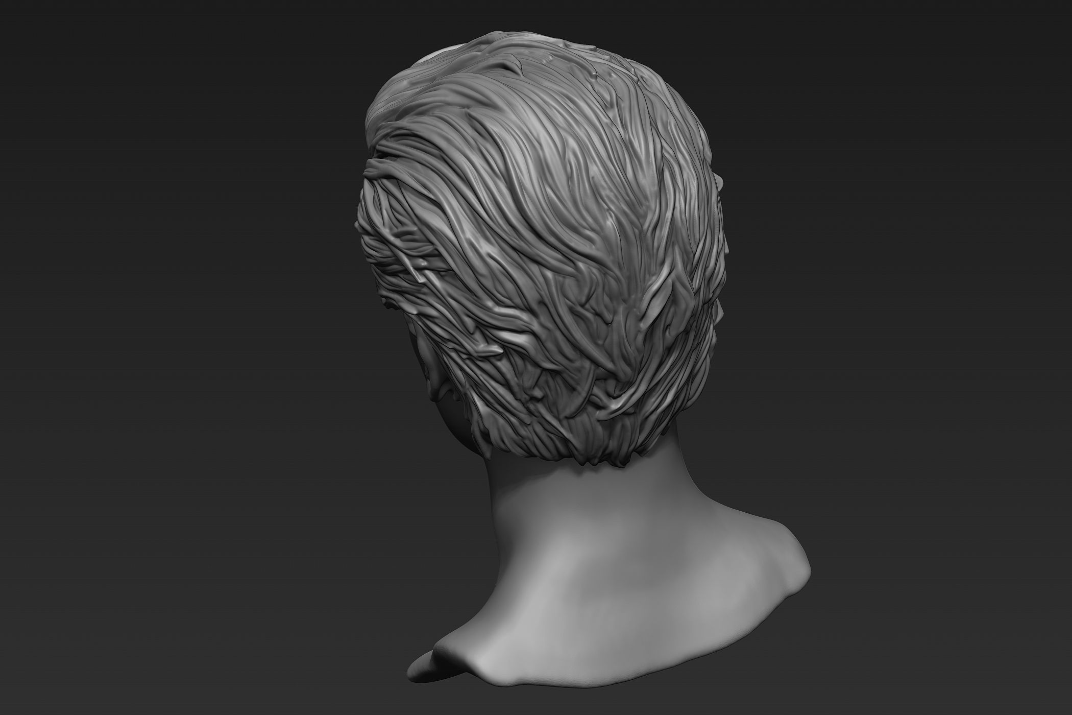 Male Head with Hair Sculpt 3D model_17