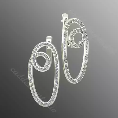 Earrings lr4