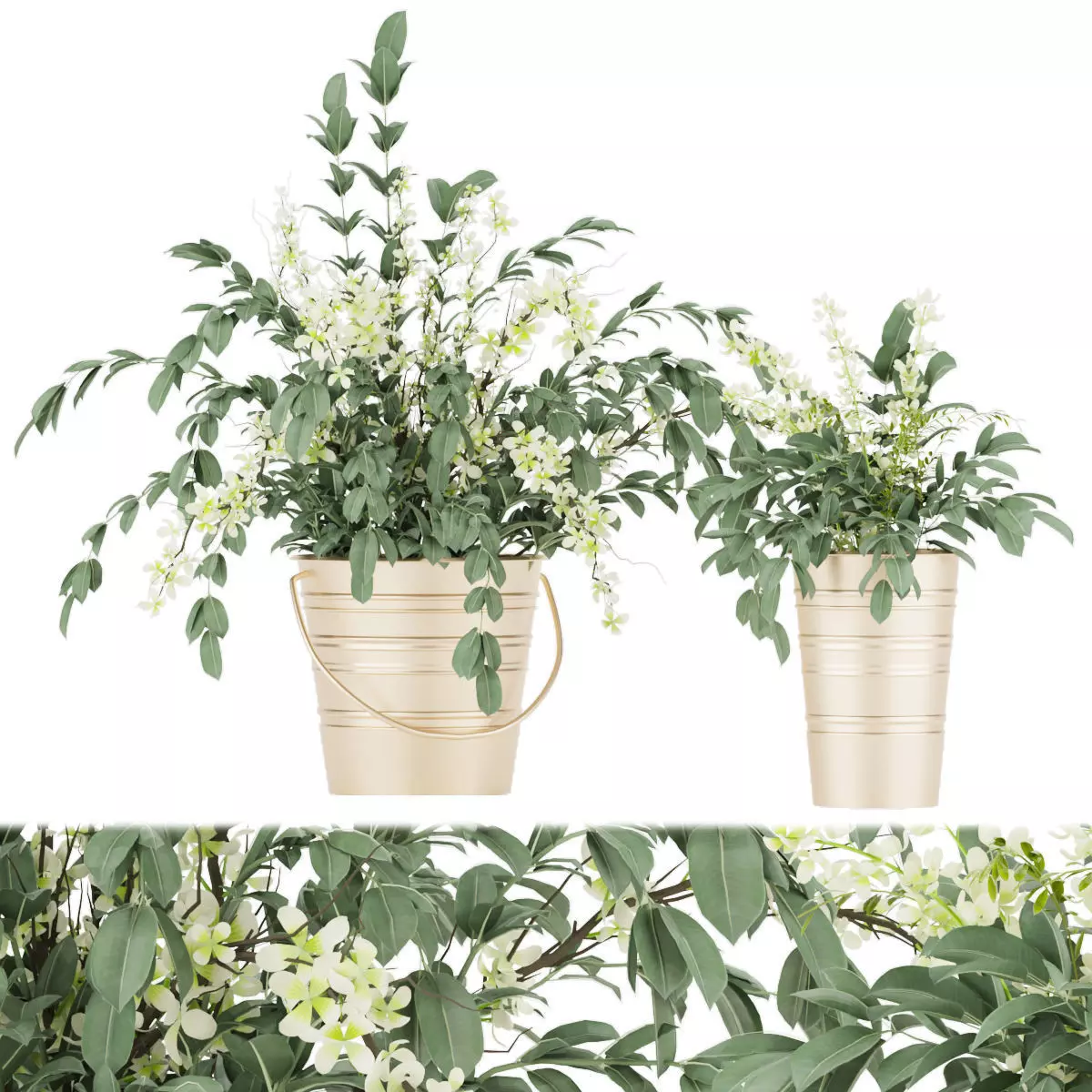 Collection plant vol 53 3D model