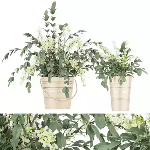 Collection plant vol 53 3D model