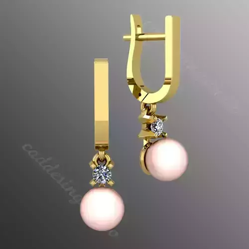 Earrings n1