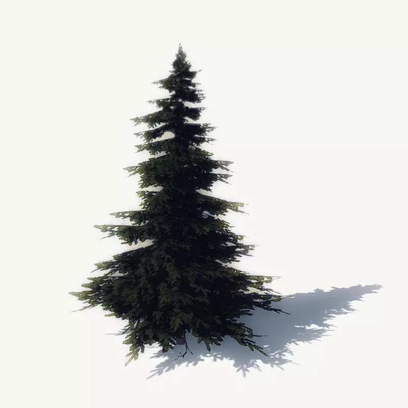 FREE Pine Trees Sample Model Free low-poly 3D model_0