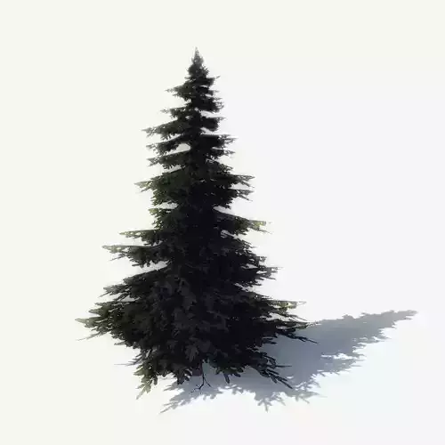 FREE Pine Trees Sample Model Free low-poly 3D model
