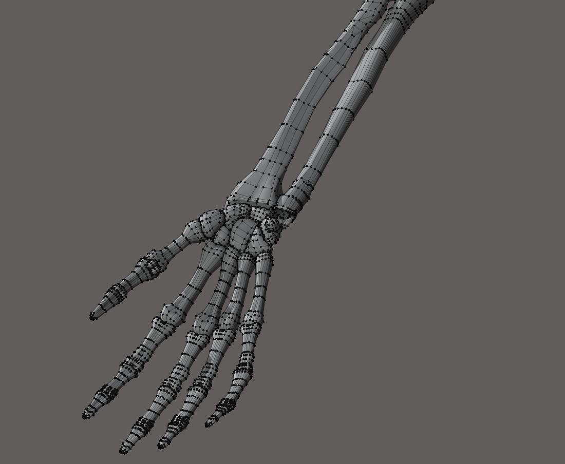 Rigged arm skeleton for Blender - bare skeleton 3D model_5