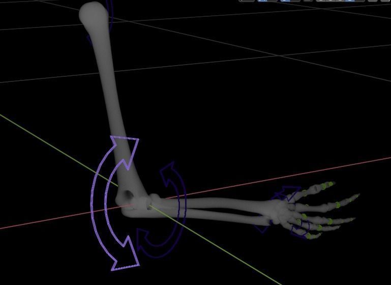 Rigged arm skeleton for Blender - bare skeleton 3D model_4
