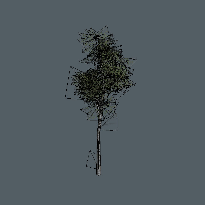 FREE Birch Trees Sample Model Free low-poly 3D model_1