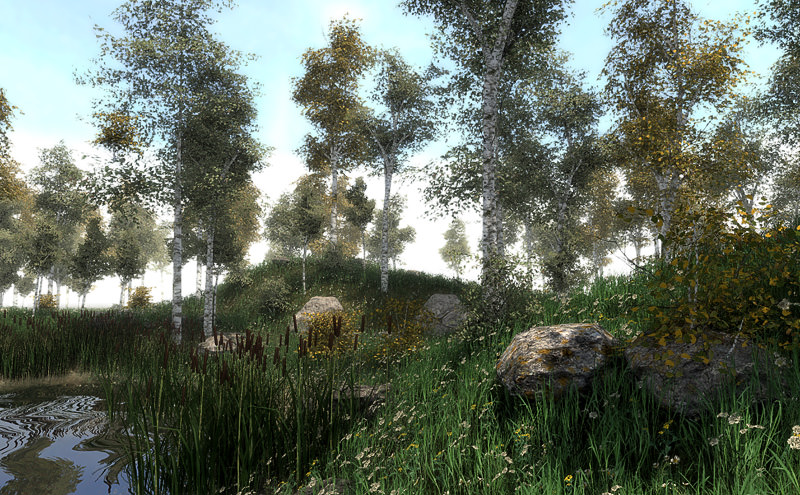 FREE Birch Trees Sample Model Free low-poly 3D model_2