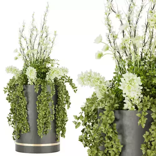 Collection plant vol 54 3D model