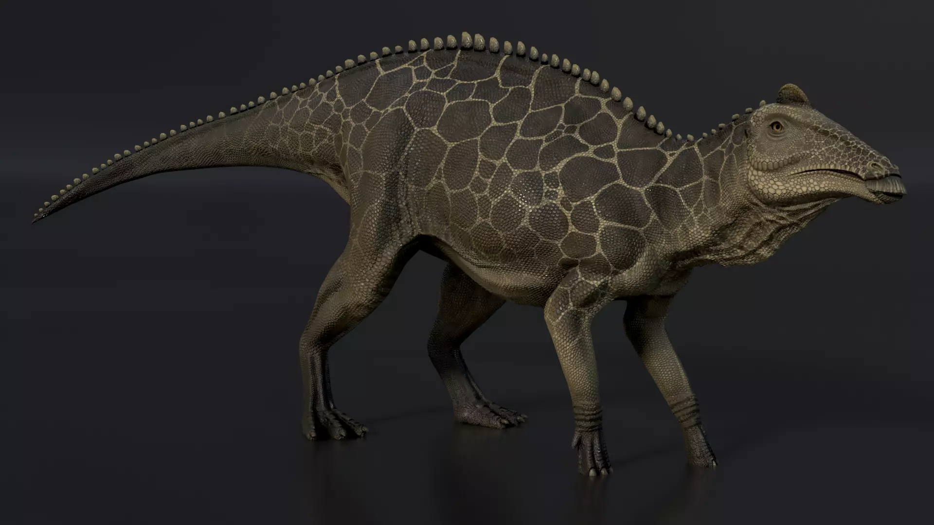 Edmontosaurus Asset Pack Low-poly 3D model_0