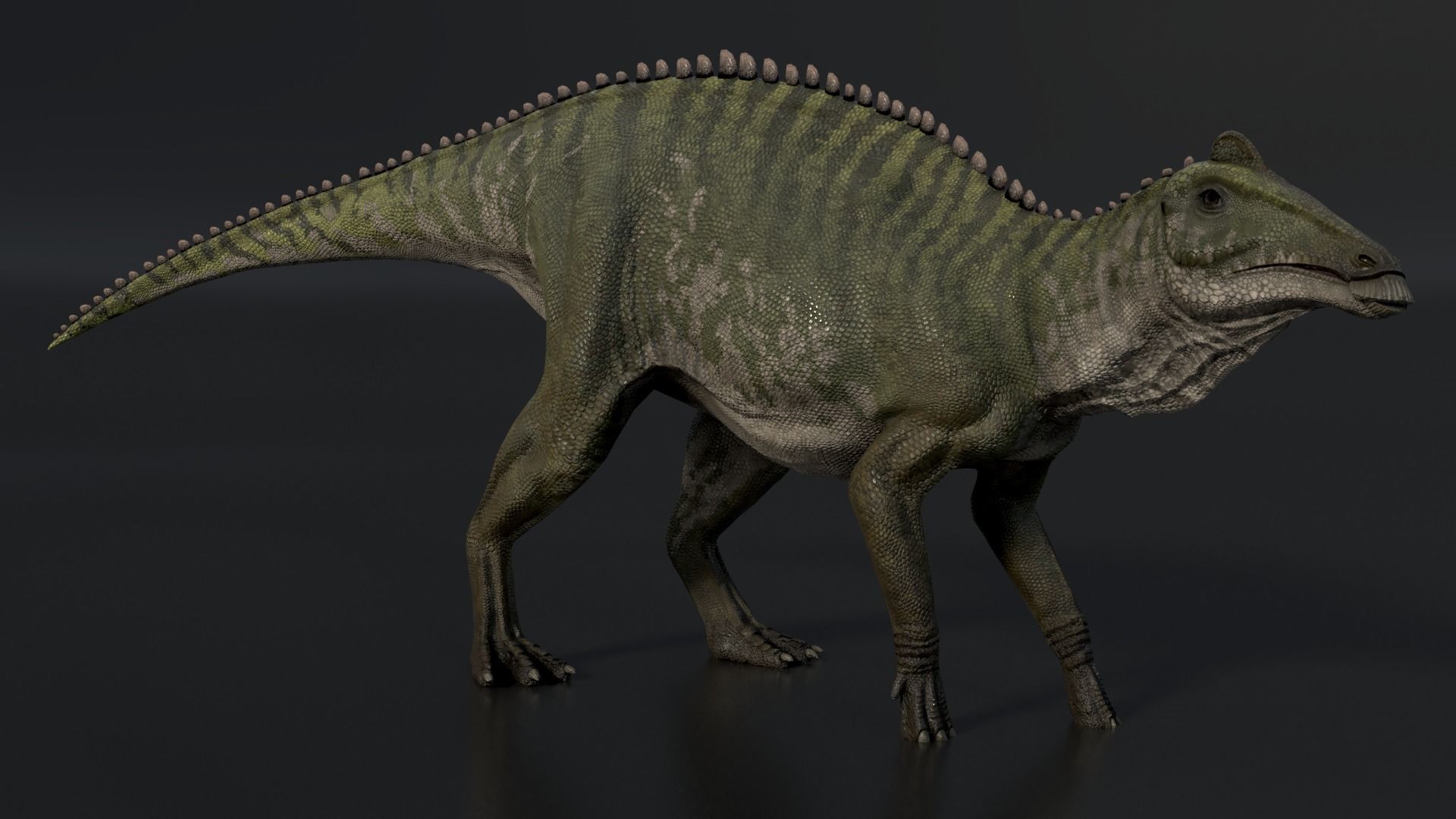 Edmontosaurus Asset Pack Low-poly 3D model_3